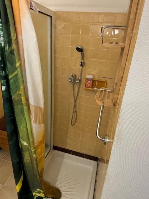 Apartment Maison De Proche Mer, En Camargue Sur Le Chemin De Saint Jacques De Compostelle, Clim Reversible *